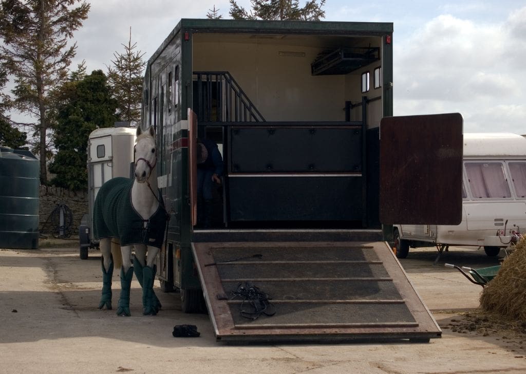 used horsebox